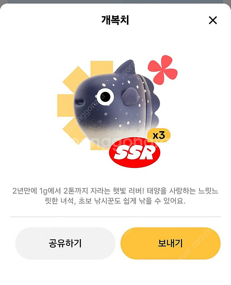 틱톡 라이트 SSR 개복치 1개 2000원 팝니다.--0