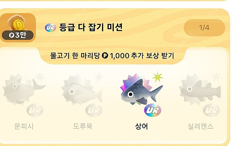 틱톡 낚시 물고기 (문피시,도루묵,실러캔스)구해봐요--0