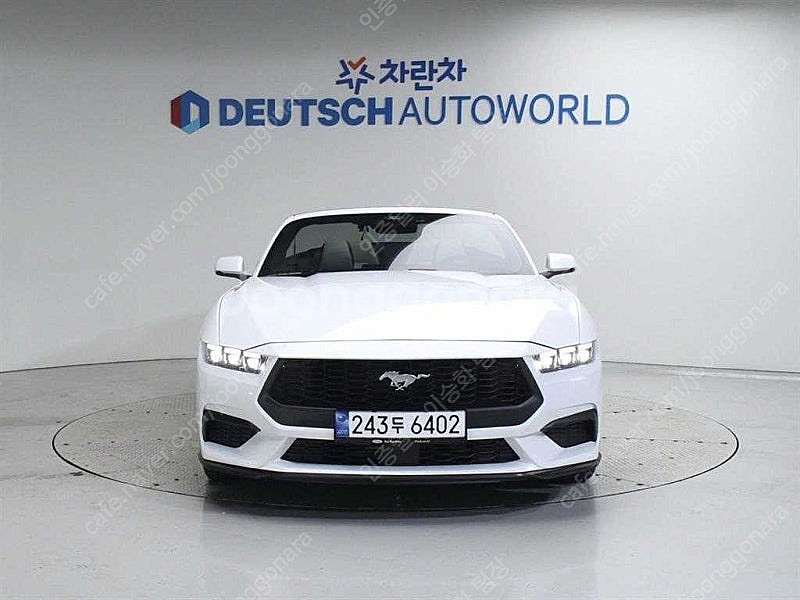 19,693 km 포드 머스탱 중고 포드 중고차 2.3...--8