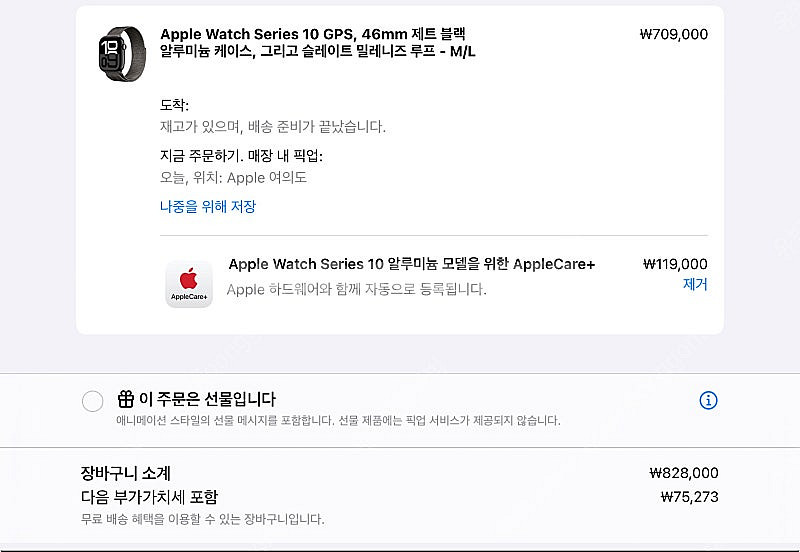 [애플케어] 애플워치10/46mm/제트블랙/슬레이트밀레...--0