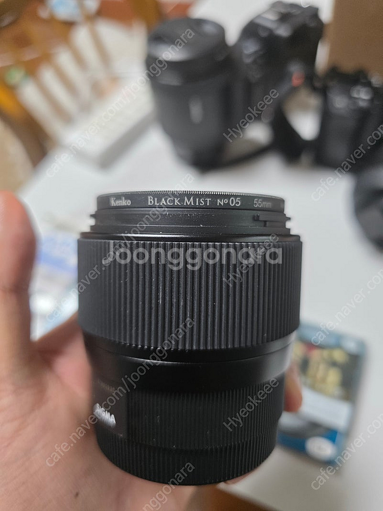 소니 a6400/selp18200/시그마 56.4/시그...--8