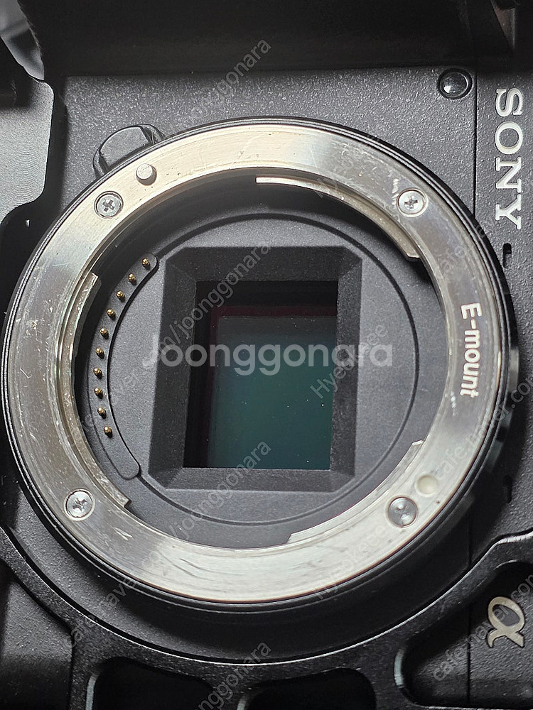 소니 a6400/selp18200/시그마 56.4/시그...--9