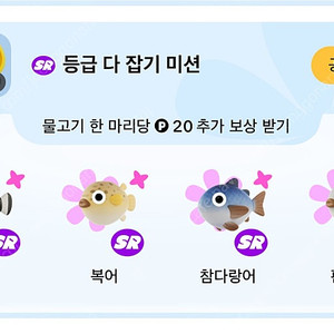 틱톡라이트 낚시 돌돔 복어 참다랑어 판골린 400원