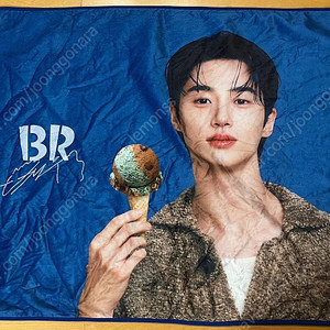 변우석 베스킨 담요