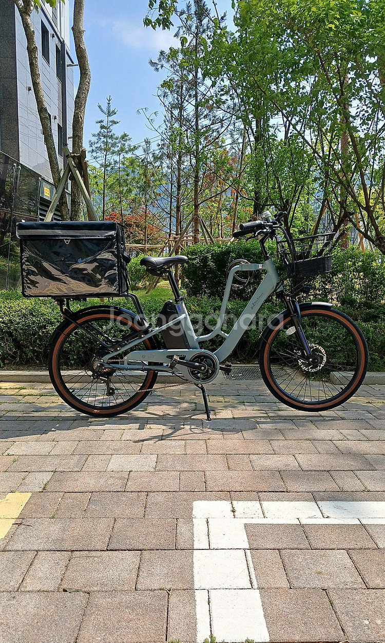 알톤 알마타247 전기자전거--0