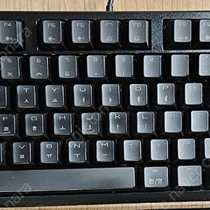 체리 cherry g80 3000s tkl rgb 무소음 적축 기계식 키보드 블랙