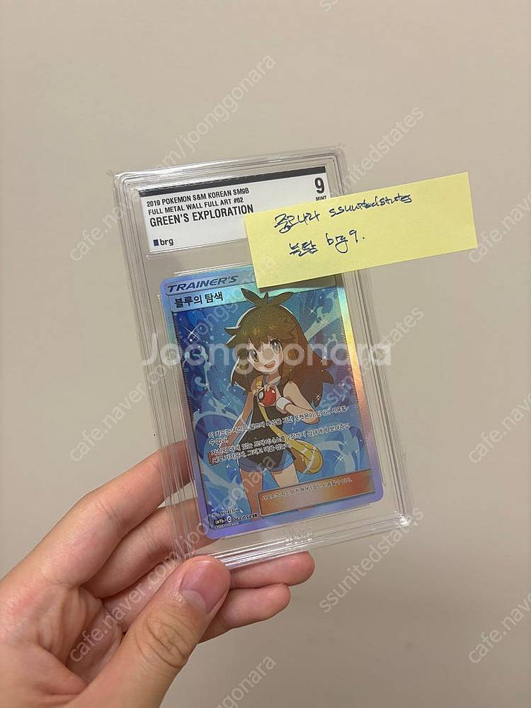 포켓몬카드 서포터 블루의탐색 brg--0