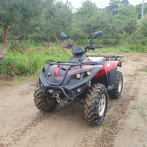 대형 사륜구동 4WD ATV 사발이 <동영상 첨부>
