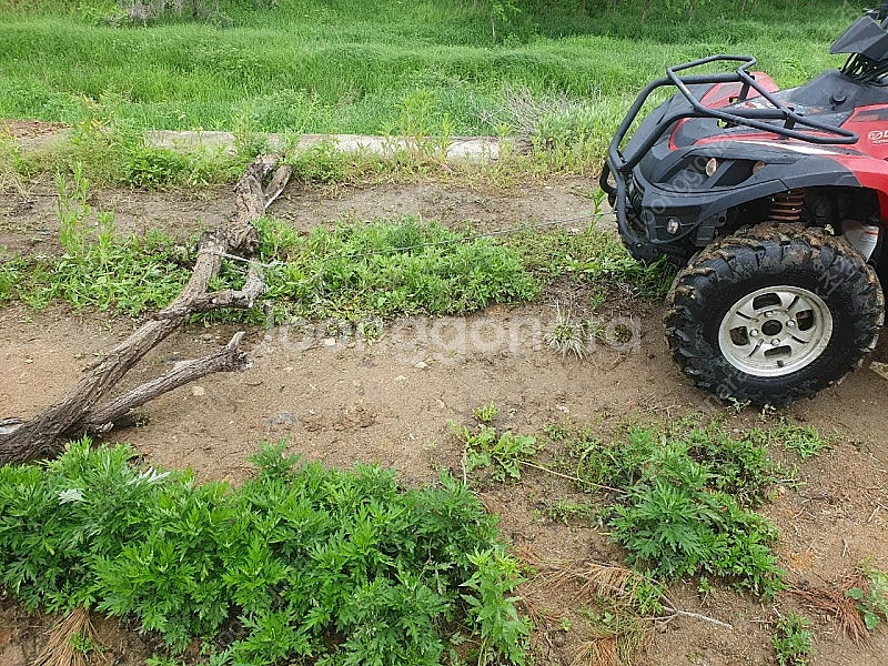대형 사륜구동 4WD ATV 사발이 <동영상 첨부>--3