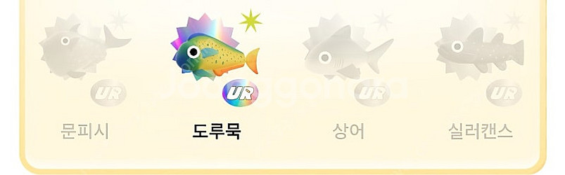 틱톡 낚시에서 UR 물고기삽니다.--0