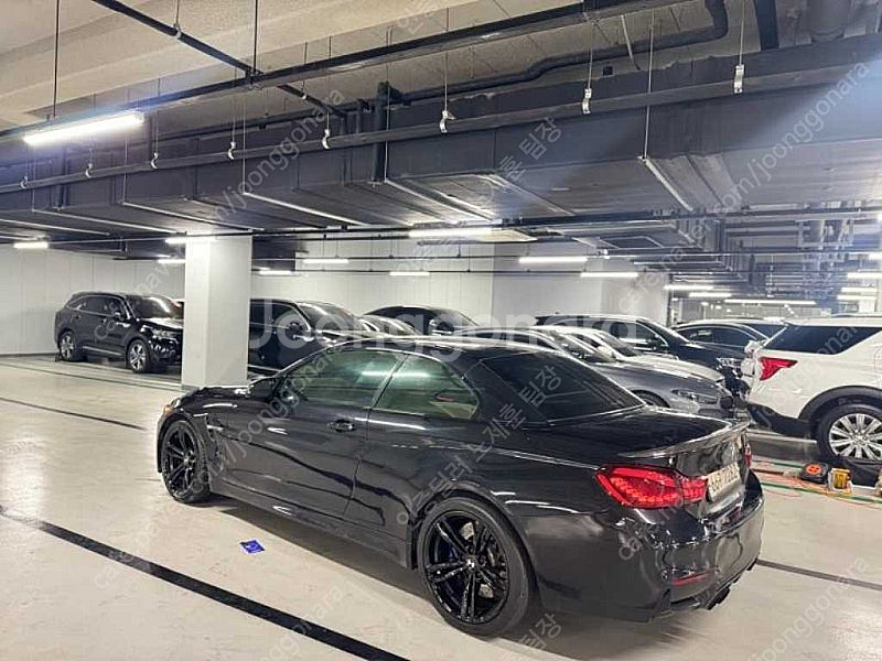 BMW M4 중고 BMW 중고 2015년식 컨버터블 자...--5