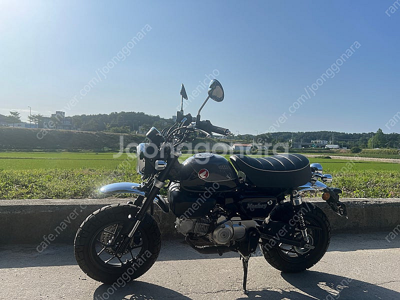 22년식 몽키125 블랙 190km 주행 신차급 팝니다...--1
