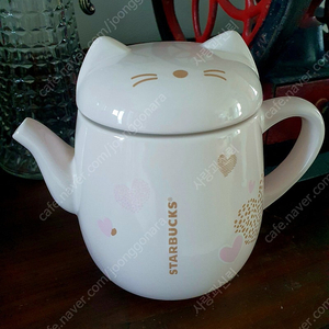 2018년 스타벅스 바렌타인 한정판 고양이티팟