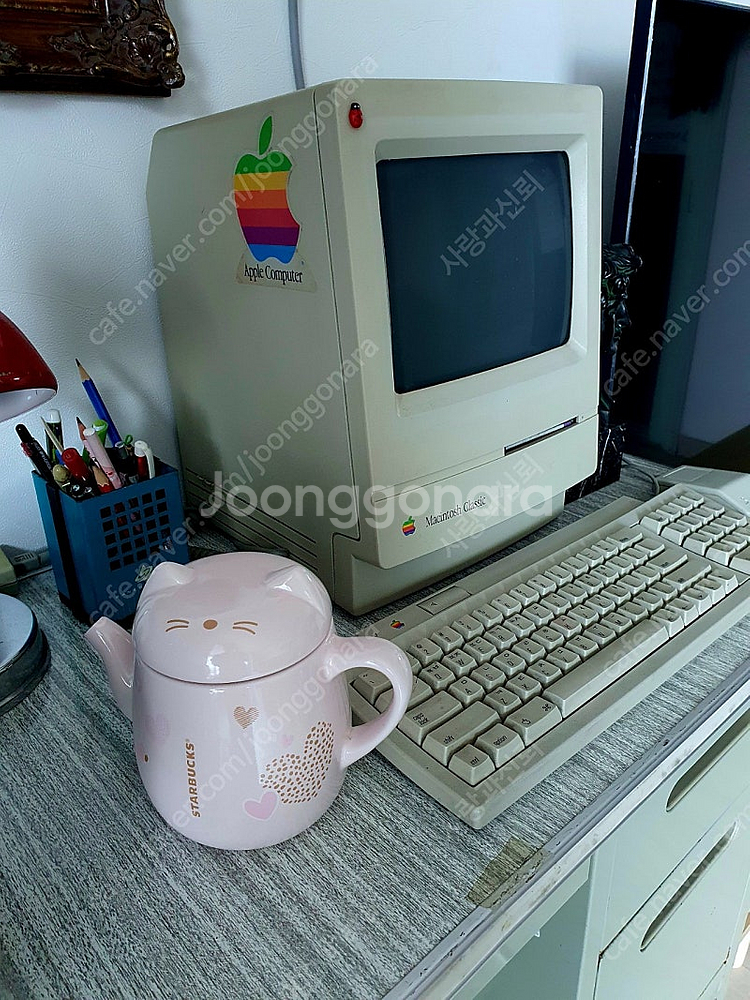 2018년 스타벅스 바렌타인 한정판 고양이티팟--5