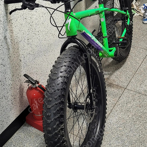 (팻바)인피자 엘파소
