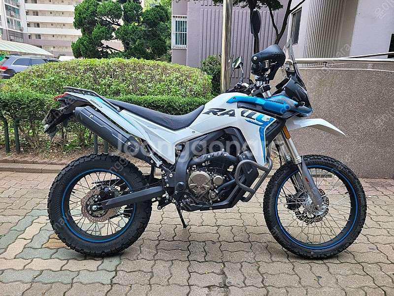 보그300랠리--0