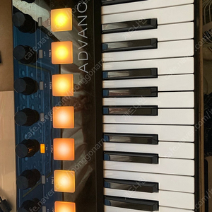 akai advance 61 마스터 건반 싸게 15만에 팜