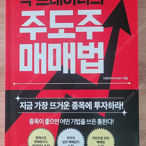 빅 트레이더의 주도주 매매법 주식책 상태A