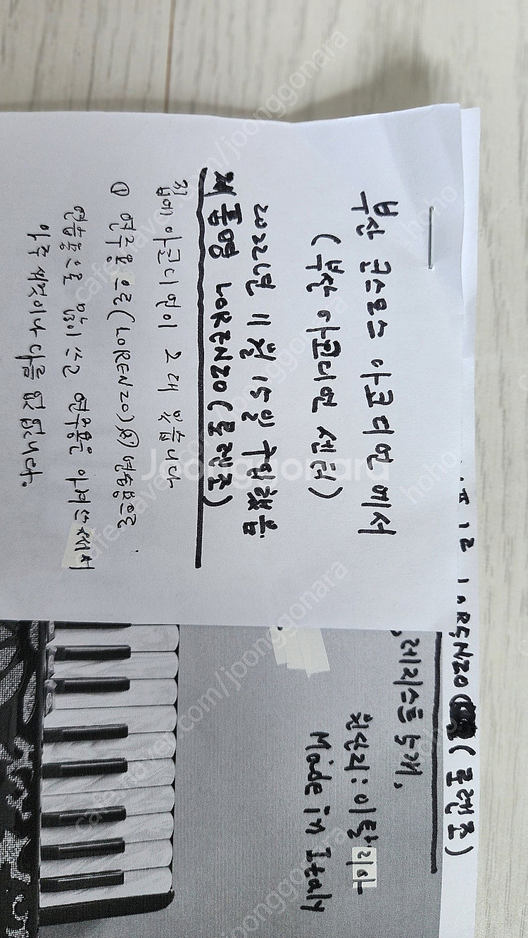 아코디언 이태리 LORENZO 거의새것 22년11월--7