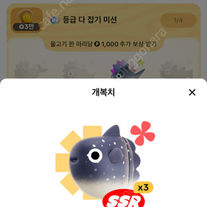 틱톡 물고기 개복치 팔아요(피라루크는 삽니다)