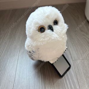 베이징 유니버셜 해피포터 움직이는 부엉이 인형