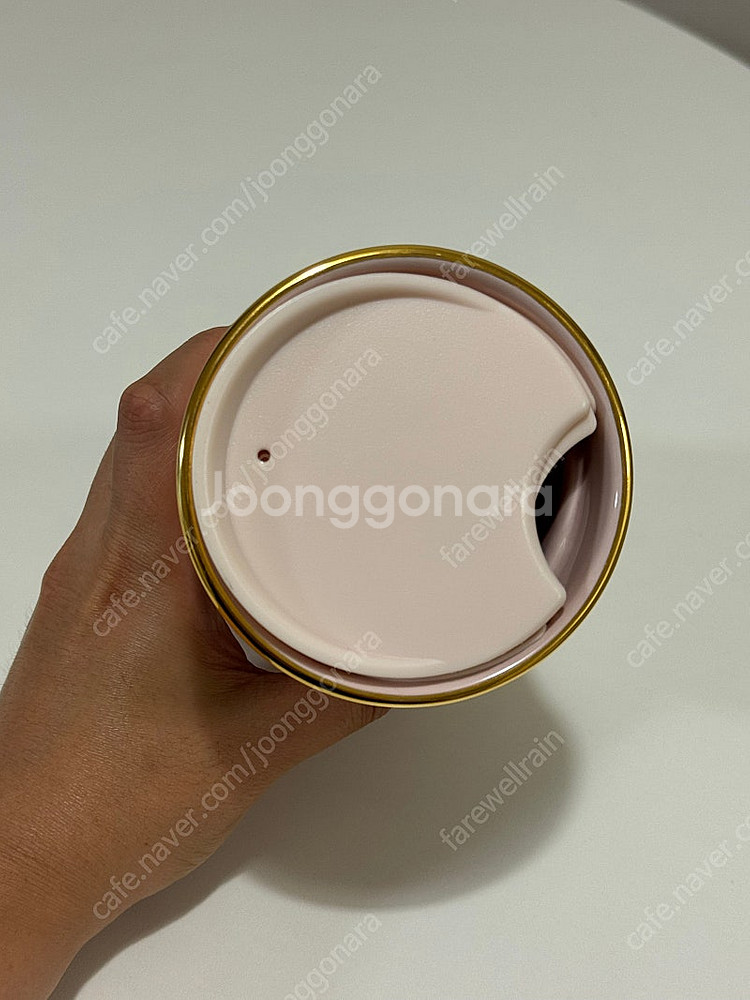 스타벅스 MD 반도 머그--1