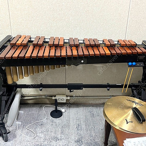 Adams Soloist Xylophone 3.5 Octaves Light Rosewood 아담스 실로폰 로즈우드