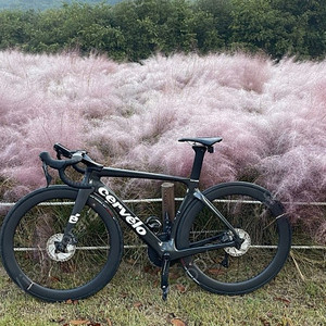 서벨로 S5 Cervelo 써벨로 판매합니다.