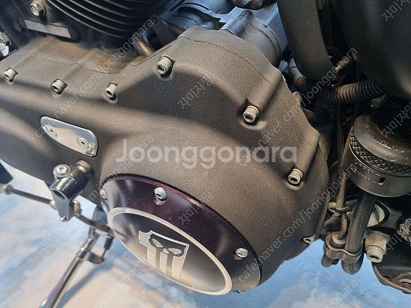 할리데이비슨 아이언883--3