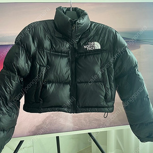 노스페이스 숏패딩 700 xs