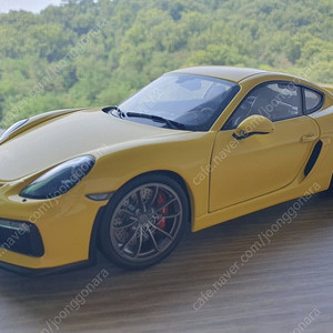 다이캐스트 1: 18 슈코 포르쉐 981 GT4