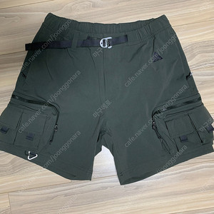 나이키 ACG 카고 쇼츠 세쿼이아 아시아 M (DH8348-355)