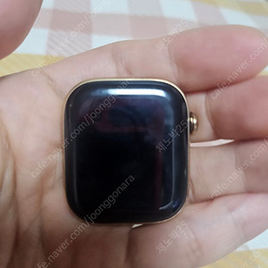 애플워치 10 42mm 티타늄 골드팝니다.(셀룰러)