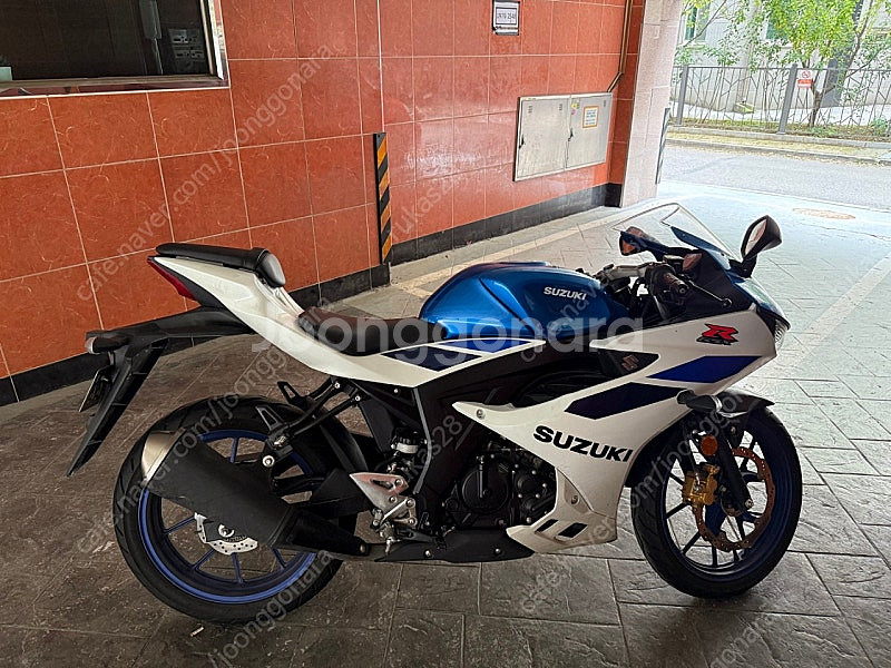 스즈키 GSX-r125 25년식 팝니다--1
