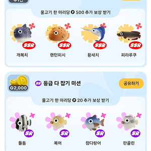 틱톡 물고기 할인판매