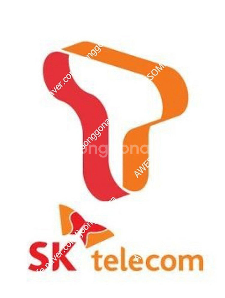SKT 데이터 1기가 1천원--0