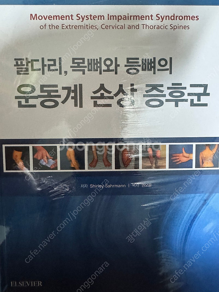 해부학 교재(캔달 자세와 통증치료, 토마스 마이어스--0