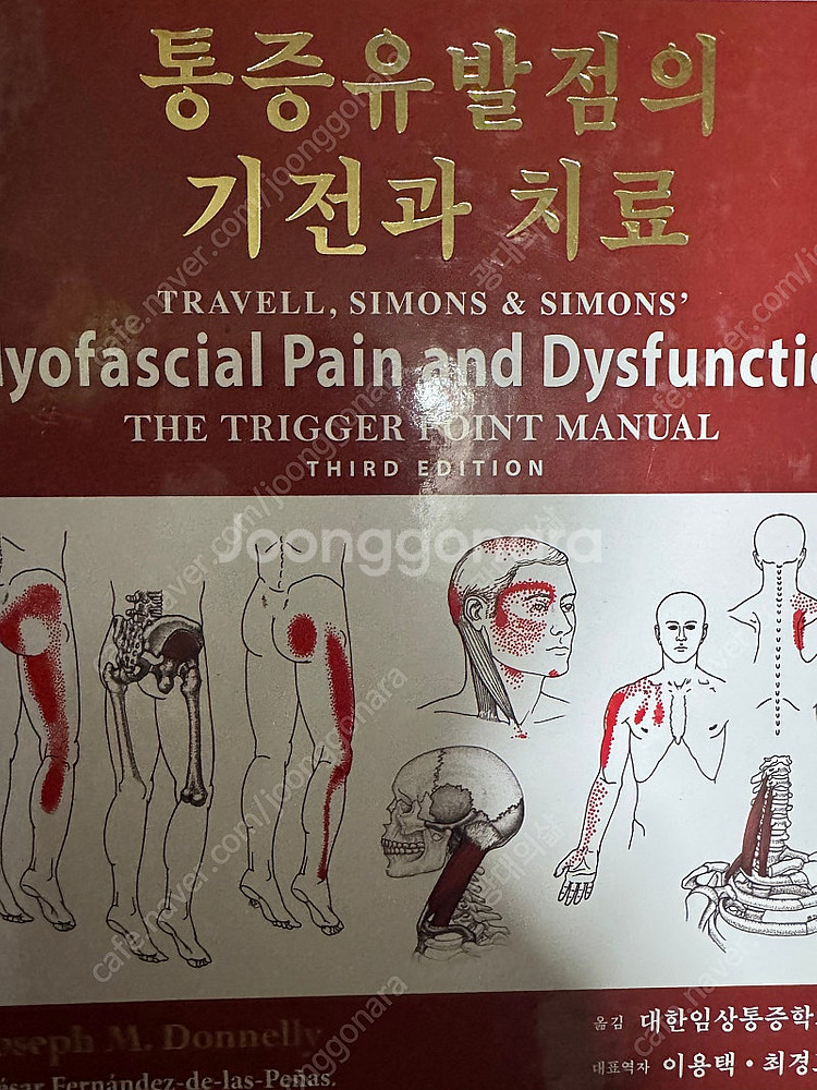 해부학 교재(캔달 자세와 통증치료, 토마스 마이어스--7