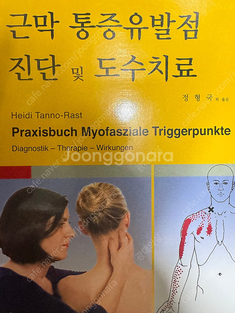 해부학 교재(캔달 자세와 통증치료, 토마스 마이어스--8