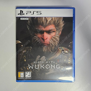 PS5 오공