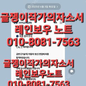 (금토일 주말 진행 가능)현대차 생산직 최종 합격 사례 보유! 자소서 대필·첨삭·대행·24시간 자기소개서 맞춤형 서비스