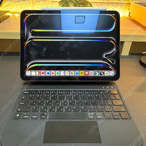 M4 아이패드 프로11 256기가 셀룰러 풀박 교환합니다