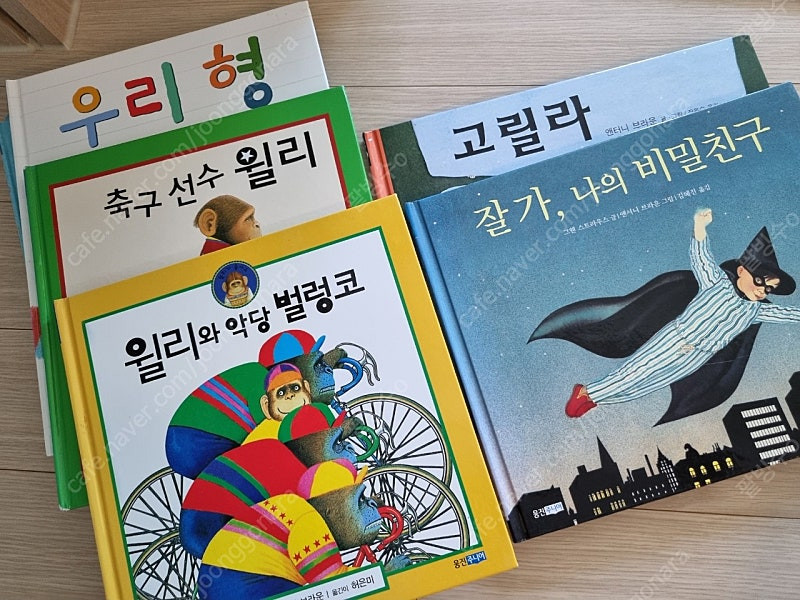 앤서니브라운 책 이미지