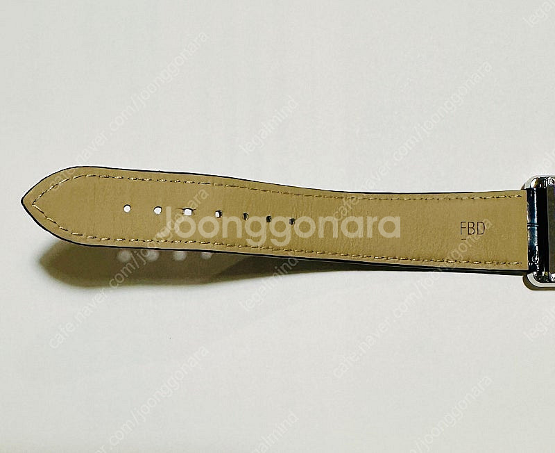 까르띠에 탱크 머스트 라지 블루 (한정판)--5