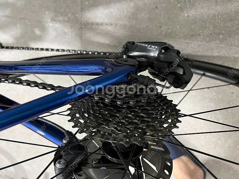 자이언트 tcr 어드밴스 프로0 2021년식 ml--2