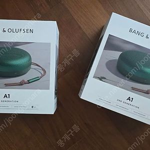 뱅앤올룹슨(B&O) 베오사운드 A1 2세대 블루투스 스피커 그린 색상 (신품급 박스풀)