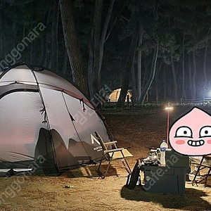 노르텐트 걈6