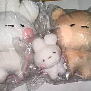 토심이 토뭉이 인형 팝니다!!!