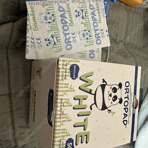 오르토패치 레귤러