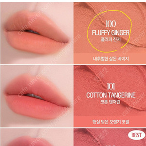 클리오 볼륨메이트 블러틴트